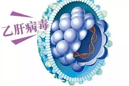 kiss一次交换8000万细菌!这些病都是亲出来,还敢不敢亲亲啊?